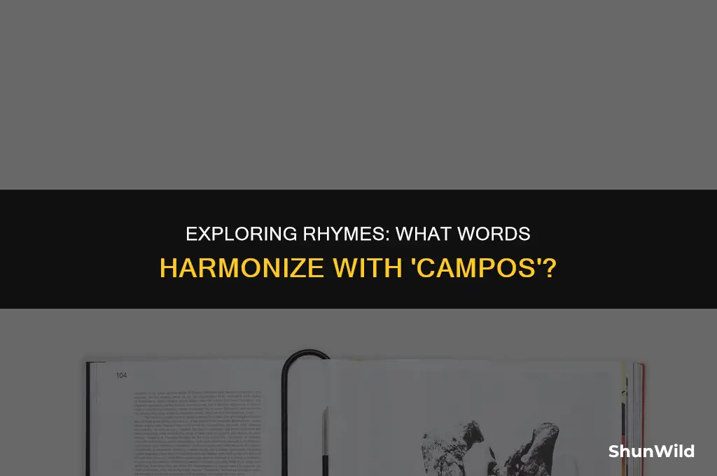 what rhymes with campos