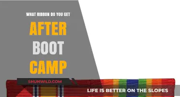 Earning Your Ribbon: Boot Camp Completion and Military Honors Explained