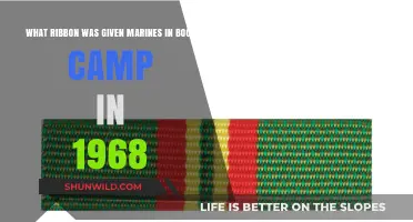 1968 Marine Boot Camp Ribbon: Unveiling the Honor Bestowed