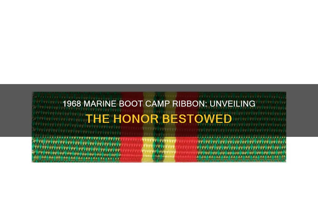 what ribbon was given marines in boot camp in 1968