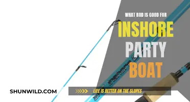 Inshore Party Boat: Choosing the Right Rod for Success