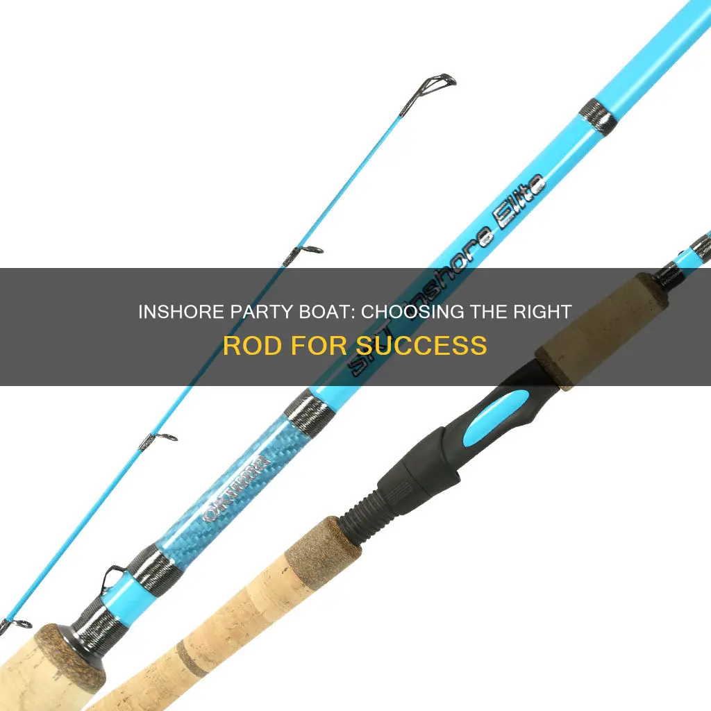 what rod is good for inshore party boat