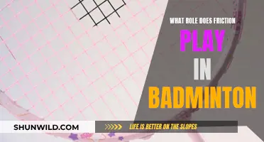 Friction's Impact on Badminton Racket and Shuttlecock Performance