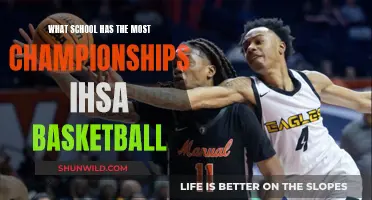 Championship Legacy: Illinois High School Basketball's Top Dogs