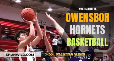 Hornets Basketball: A Legacy of Owensboro School