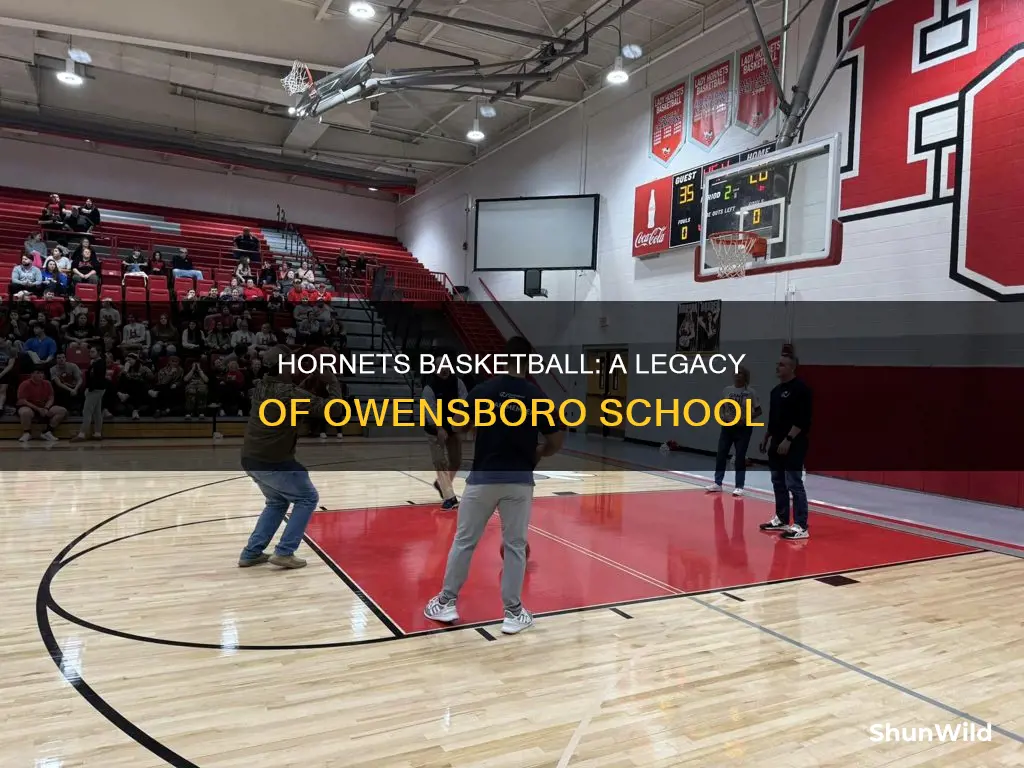 what school is owensboro hornets basketball