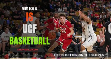 UCF Basketball: A School's Pride and Passion