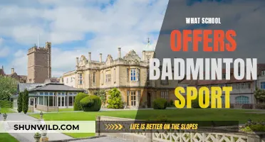Badminton Schools: Where to Play and Learn