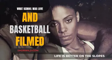 Love & Basketball Filming Location: Which School Was It?