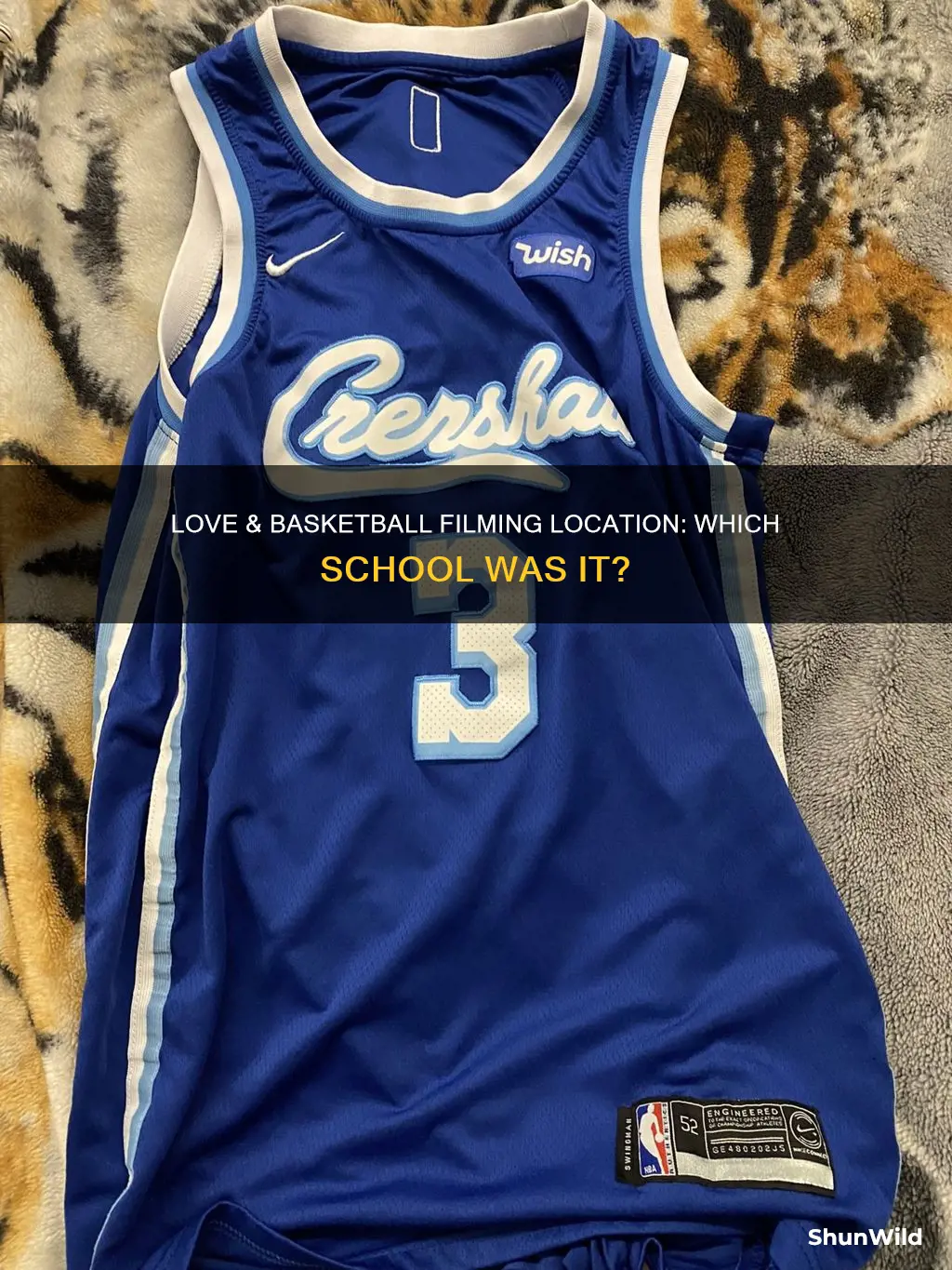 what school was love and basketball filmed