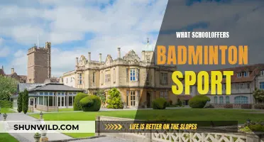Best Schools for Badminton Enthusiasts