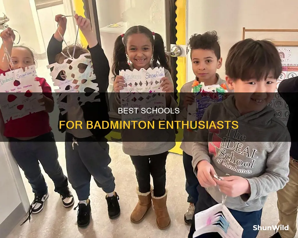 what schooloffers badminton sport