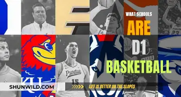 Top D1 Basketball Schools: Where the Action Is