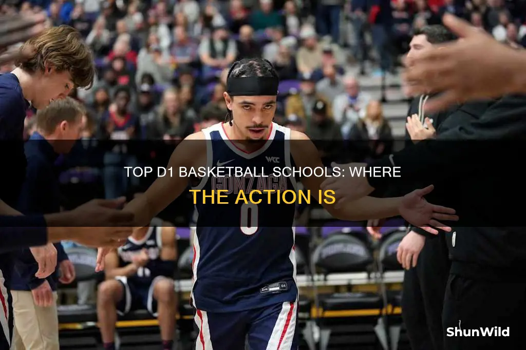 what schools are d1 basketball