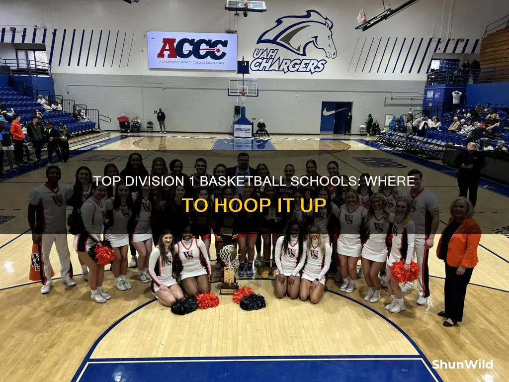 what schools are div 1 basketball