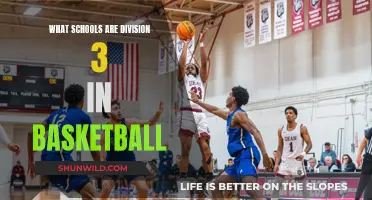 Top Division 3 Basketball Schools: Who Makes the Cut?