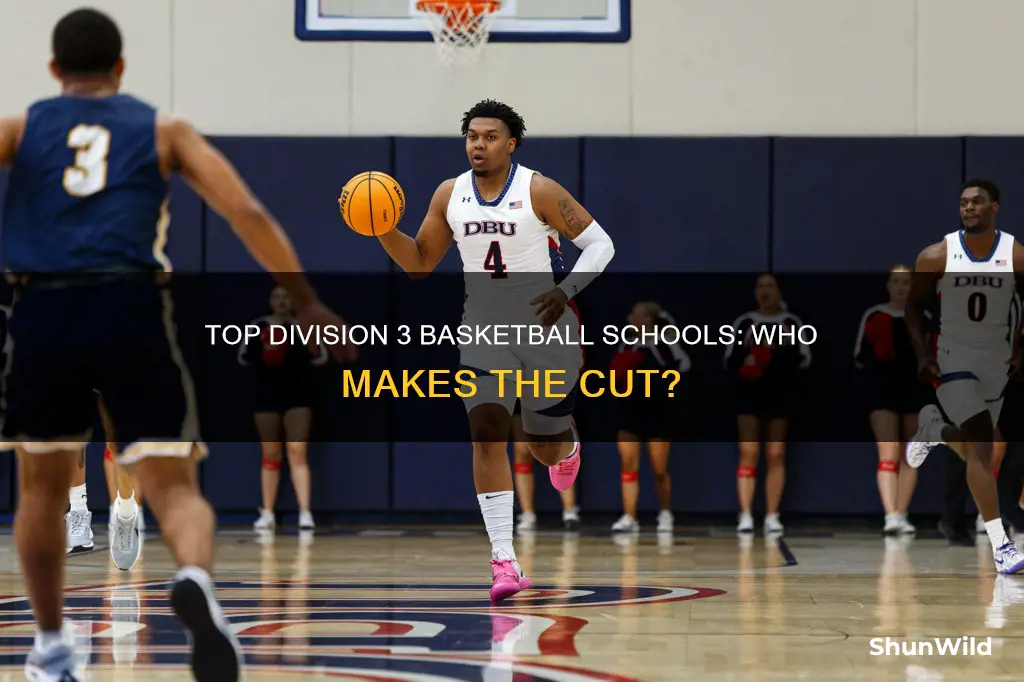 what schools are division 3 in basketball