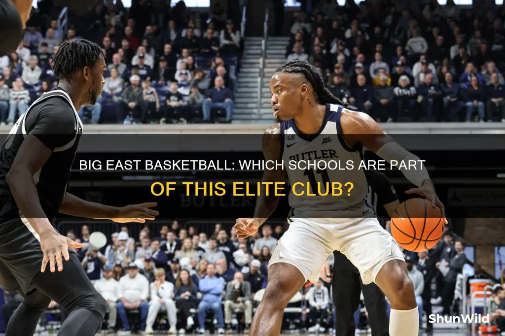what schools are in big east basketball