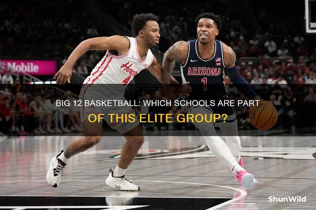 what schools are in the big 12 basketball