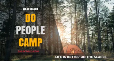 Embracing Nature's Seasons: When Do People Typically Go Camping?