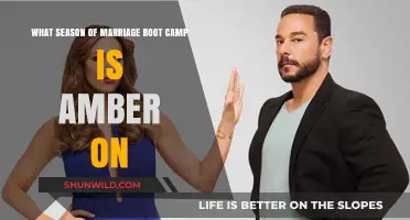 Amber's Marriage Boot Camp Season: Which One Features Her?