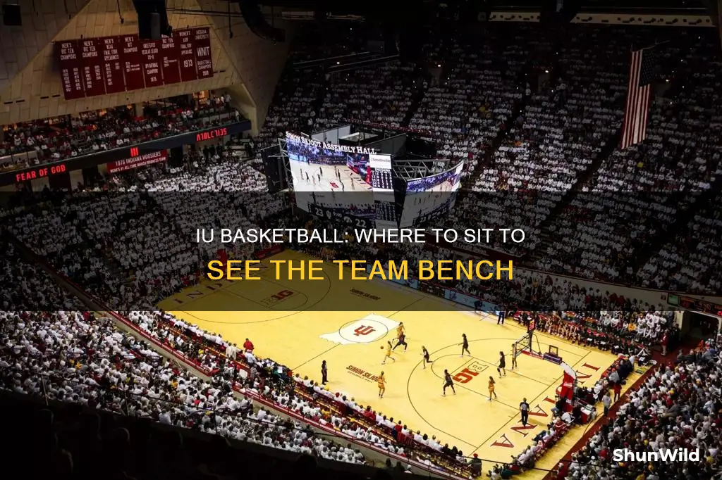 what seating sections are behind iu mens basketball bench