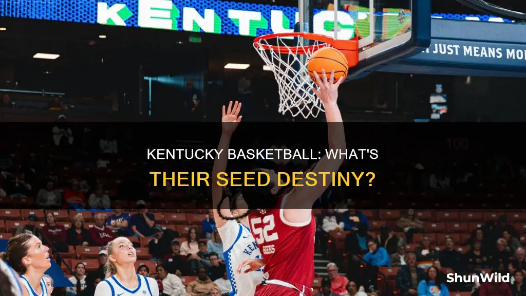what seed is kentucky basketball