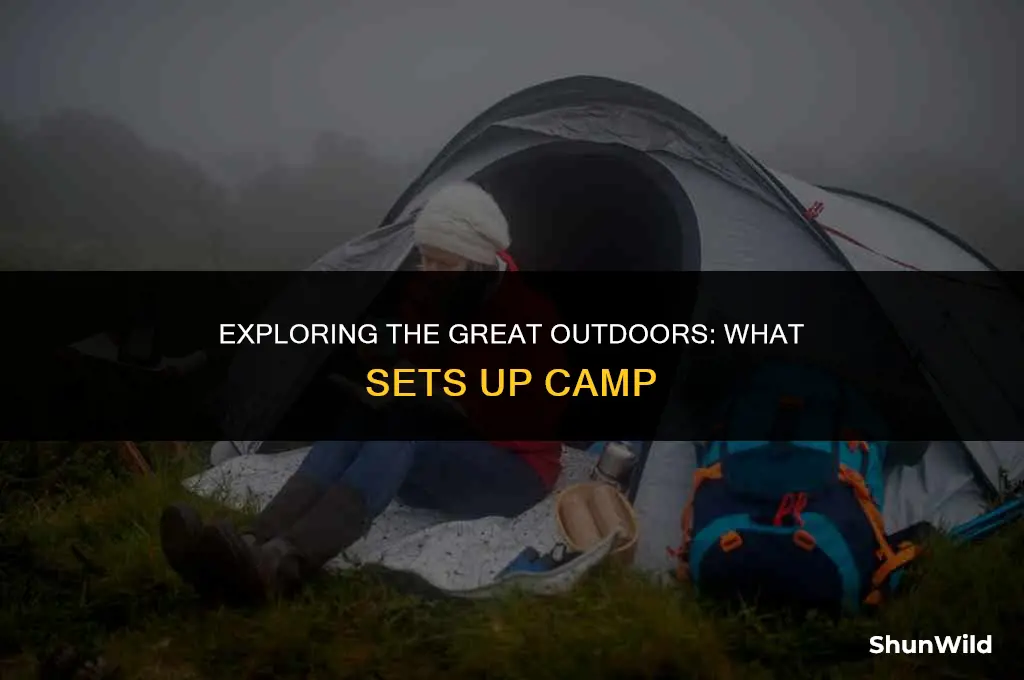 what sets up camp