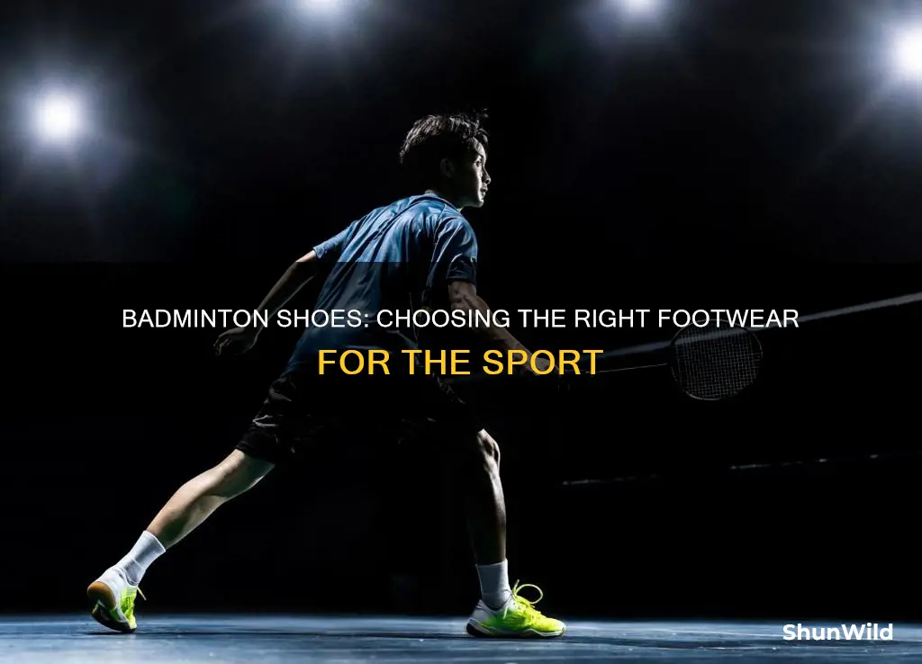 what shoes do badminton players wear