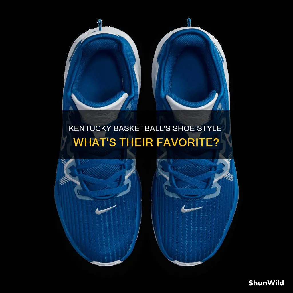 what shoes does kentucky basketball wear