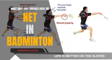 Net Shots: Mastering the Fine Art of Deception