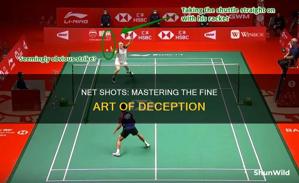 what shot just crosses over the net in badminton