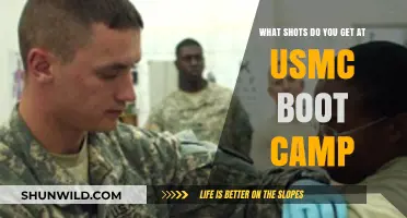 USMC Boot Camp Vaccinations: Essential Shots for Recruits Explained