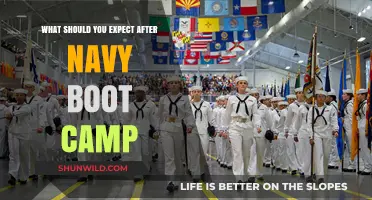 Life After Navy Boot Camp: What to Expect Next