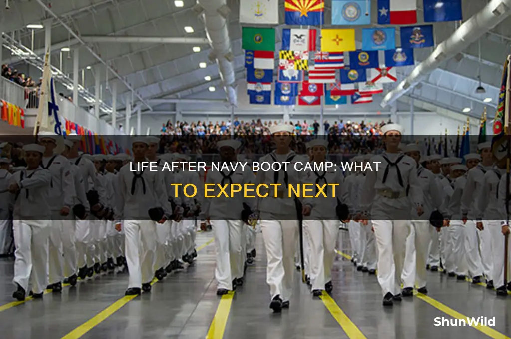 what should you expect after navy boot camp