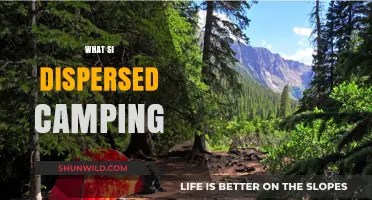 Exploring the Wilderness: A Guide to Dispersed Camping