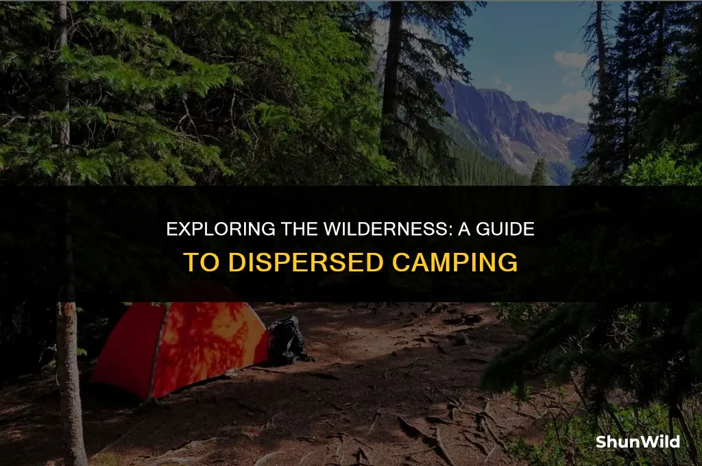 what si dispersed camping