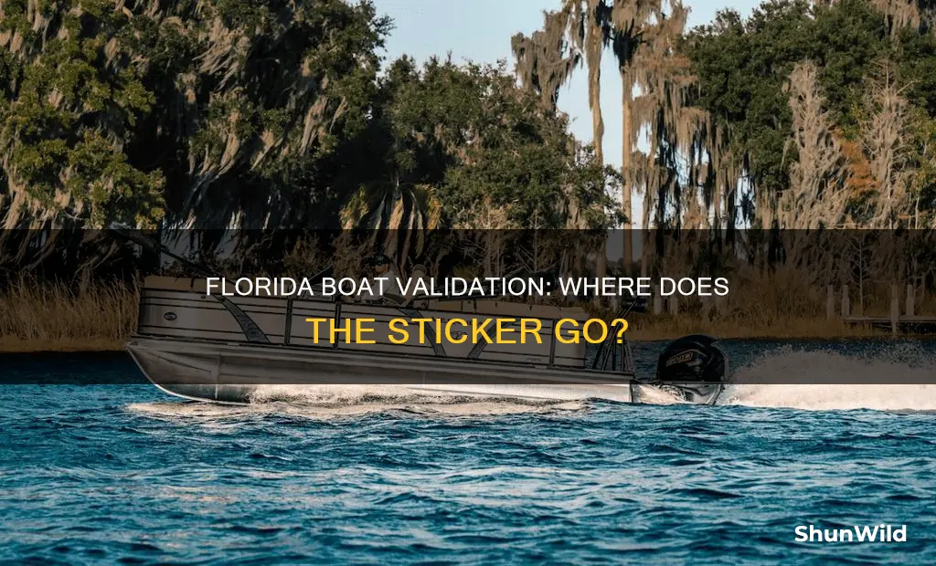 what side boat does florida validation go on