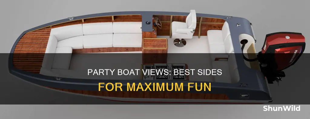 what side is best on the party boat