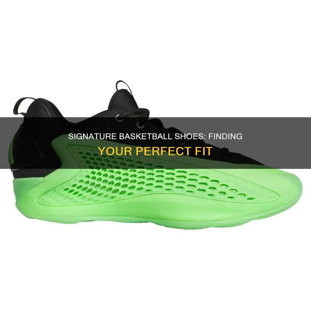 what signature basketball shoe is for you