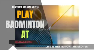 Where to Play Badminton: Best Sites