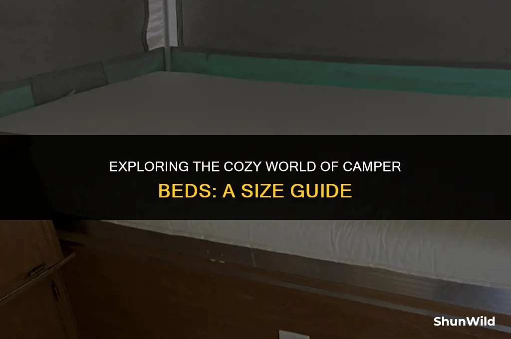 what size are camper beds