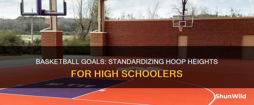 what size are high school basketball goals