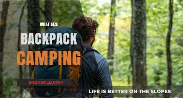 Essential Guide to Choosing the Perfect Backpack for Camping Adventures