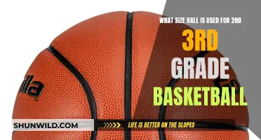 Perfect Ball Size for Young Hoops Players: 2nd & 3rd Grade