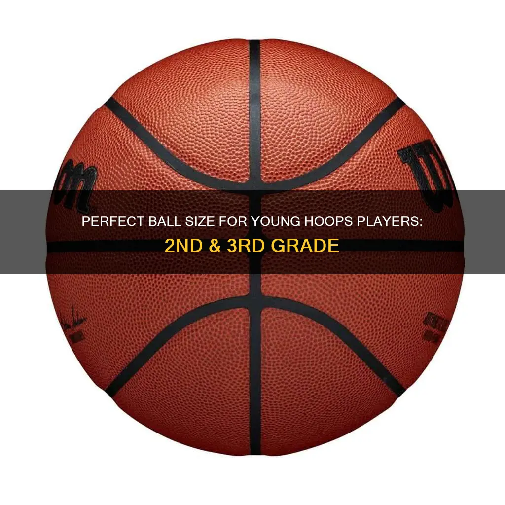 what size ball is used for 2nd 3rd grade basketball