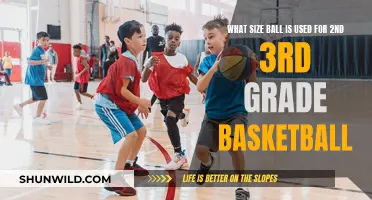 Basketball Size for Young Players: 2nd and 3rd Graders