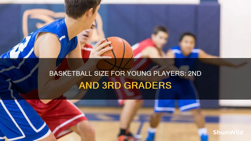 what size ball is used for 2nd 3rd grade basketball