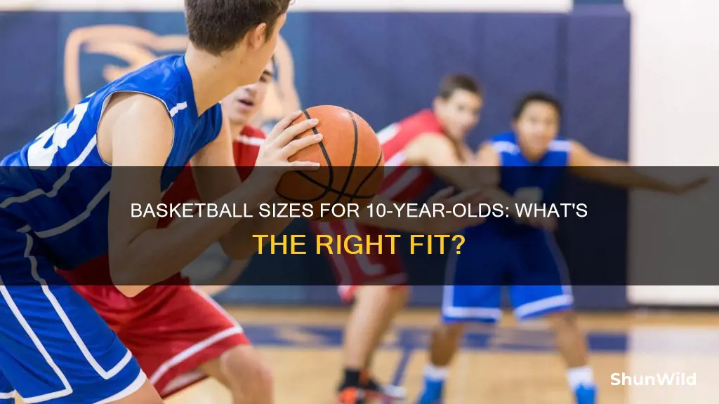 what size basketball do 10 year olds use