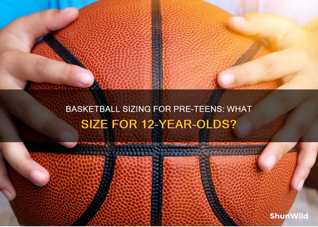 what size basketball do 12 year olds use
